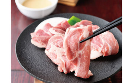 【012-21】長野県農協直販　信州SPF豚焼肉セット（ロース、肩ロース） 各250g・冷蔵