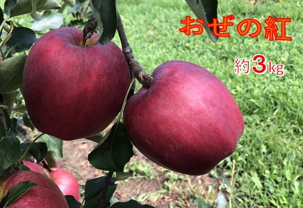 【009-32】信州のりんご　おぜの紅　約3キロ