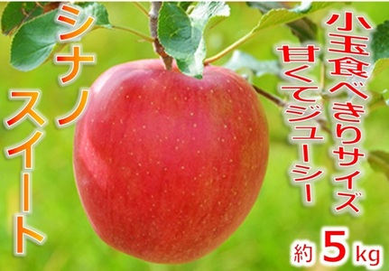 【009-34】信州のりんご　シナノスイート　厳選！小玉食べきりサイズ！　約5キロ