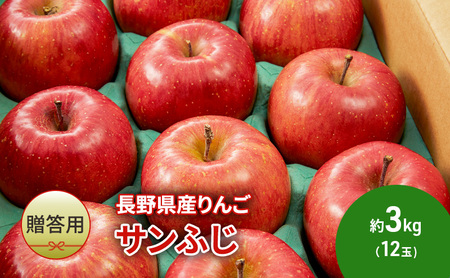 【贈答用】長野県産りんご「サンふじ」約3kg （12玉）