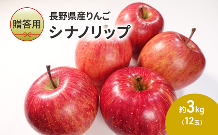 【贈答用】長野県産りんご「シナノリップ」　約3kg（12玉）