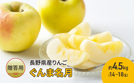 【贈答用】長野県産りんご「ぐんま名月」　約4.5kg（14玉～18玉）