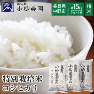小柳農園の特別栽培米コシヒカリ15kg(5kg×3)【1204307】