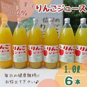 サンふじ果汁100%りんごジュース 6本【1494569】