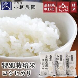 小柳農園の特別栽培米コシヒカリ6kg(2kg×3)【1204249】
