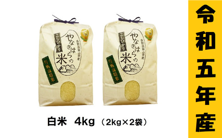 【令和5年産 】「やなぎはらの米　こしひかり」4kg(5-50A)