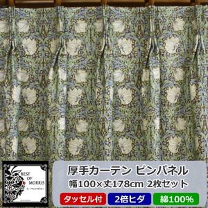 厚地カーテン ピンパネル 幅100×丈178cm×2枚　Fabric by ベストオブモリス【1482592】