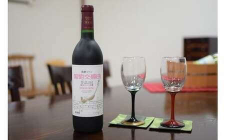 信濃ワイン　葡萄交響曲　赤と漆グラスのセット[5964886]