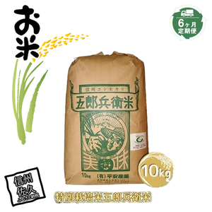 【6ヶ月定期便】特別栽培米五郎兵衛米　10kg