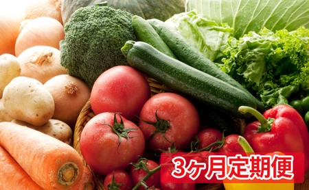 【3ヶ月定期便】とみずく農園の季節の野菜セット（7～8種類）