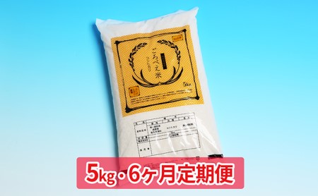 【6ヶ月定期便】信州佐久産　コシヒカリ　五郎兵衛米　5kg 幻の米 美味しいお米 お取り寄せ