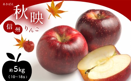 りんご「秋映」約5kg (10～18玉)