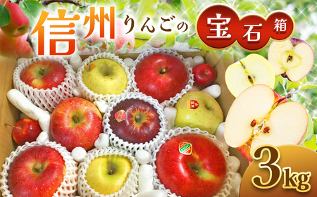 【2024年先行予約】 信州 りんご 詰合せ 約3kg りんごの宝石箱 