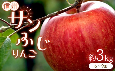 りんごの王様「サンふじ」 約3kg (6～9玉)