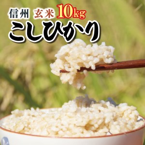 信州米 こしひかり ( 玄米 ) 10kg 長野県産