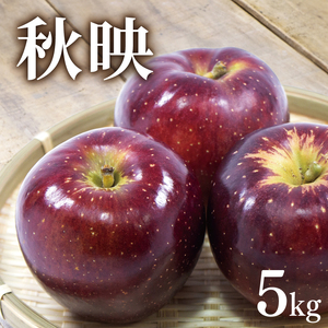 りんご 秋映 5kg
