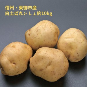 東御市産白土馬鈴薯約10kg【8～12月お届け】