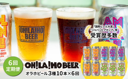 【6回定期便】オラホビール10本（3種合計10本）