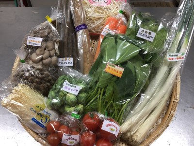 産直センター　旬彩BOX「四季の野菜セット」