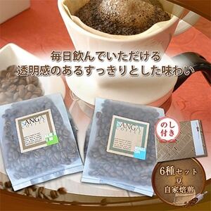 【のし付き】サンガコーヒー〈豆〉100g×6種【1097801】