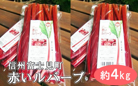 【先行受付】富士見町の赤いルバーブ約4kg（500g×8袋） 2024年5月末より順次発送