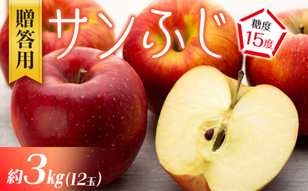 【贈答用】りんご 長野 サンふじ 約3kg （12玉）