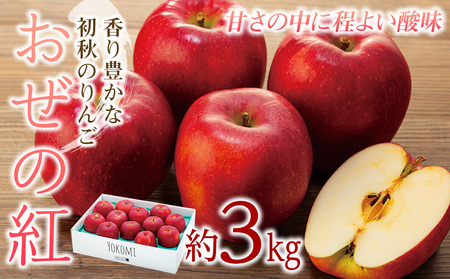 【2024年/令和6年度発送分！先行予約】甘さの中に程よい酸味があり、香り豊かな初秋のりんご【おぜの紅】約3kg