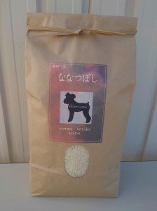  A178　【玄米】令和５年産 ferme satakeのななつぼし(５kg)