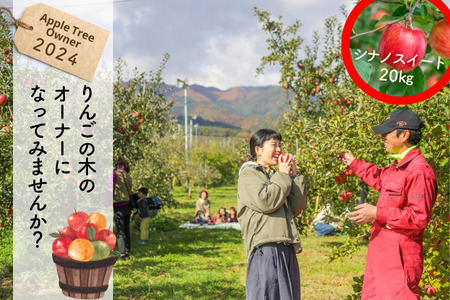 KO03-24A りんごの木のオーナー（シナノスイート）【20kg限定】