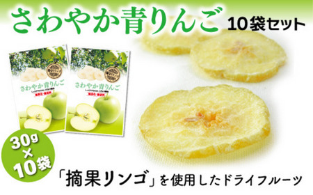 MZ02-24D 【ドライりんご】さわやか青りんご30g×10袋 ドライフルーツ フードロス 