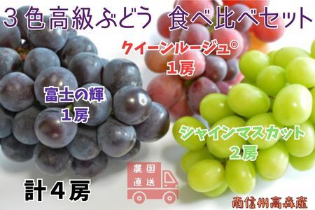 【数量限定】3色高級ぶどう(シャインマスカット、クイーンルージュ(R)、富士の輝)食べ比べセット4房