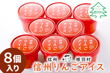長野県産ふじりんごを丸ごと使用！ 信州りんごアイス 8個セット