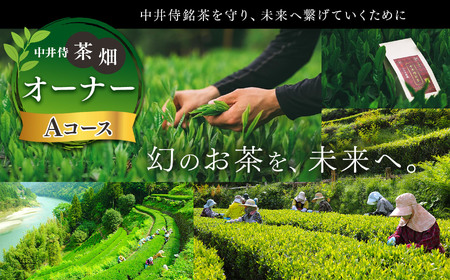 「未来の子供たちにこの美しい風景を残したい！」中井侍の茶畑オーナーAコース（2・5・8・11月）計4回お届け