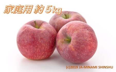 A-60 りんご シナノリップ＜ご家庭用＞【16～20玉】