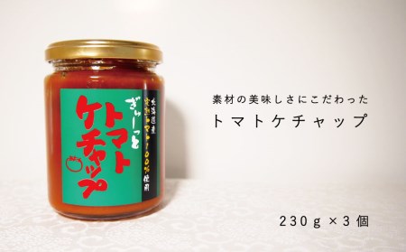 トマトケチャップセット【C-007】