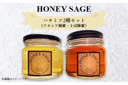 2706 HONEY SAGE ハチミツ2種セット（アカシア蜂蜜・そば蜂蜜）