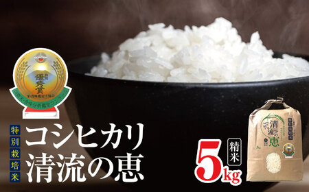  特別栽培米コシヒカリ　清流の恵 5kg（精米）
