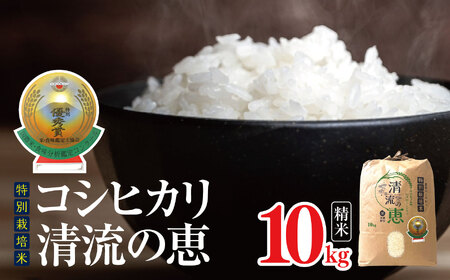 特別栽培米コシヒカリ 清流の恵 10kg（精米）