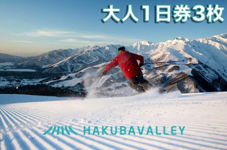 HAKUBA VALLEY 10スキー場共通大人1日券 3枚【J0099-02】