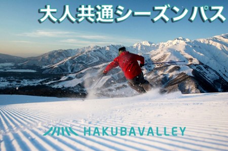 HAKUBA VALLEY 10スキー場共通 大人シーズンパス【Q0635-01】