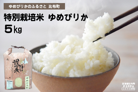 【新米予約】2024年産　ナナプラザ　特別栽培米ゆめぴりか　5kg