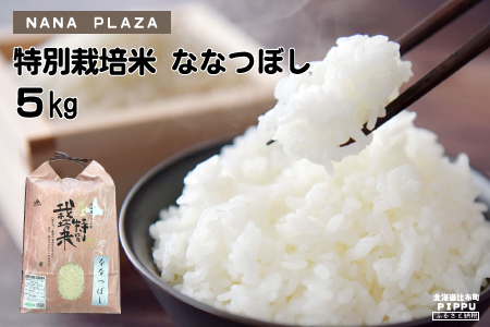 【新米予約】2024年産　ナナプラザ　特別栽培米ななつぼし　5kg