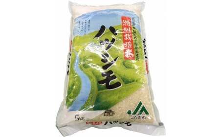岐阜県産特別栽培米ハツシモ(5kg)