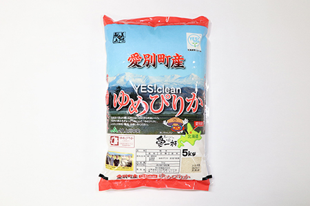 【A16304】愛別町産米（ゆめぴりか5kg×2袋）3ヶ月定期配送