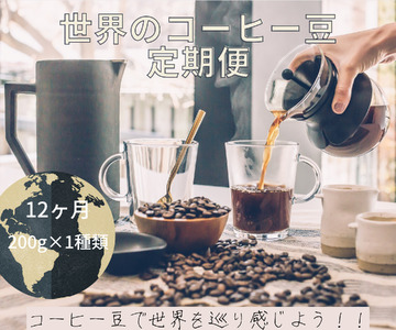 【コーヒー豆定期便12か月】『焙煎幸房“そら”』世界を旅するコーヒー 苦いのは苦手、深煎り抜き 200g×1種類