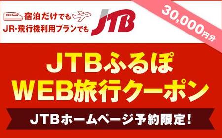 【高山市】JTBふるぽWEB旅行クーポン（30,000円分）