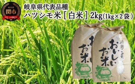 【岐阜県代表品種】　令和5年産　ハツシモ米　【白米】2ｋｇ（1ｋｇ×2袋）　S19 G5-19
