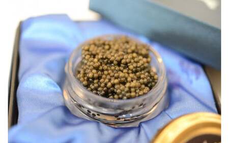 中津川キャビア S Caviar 50-002