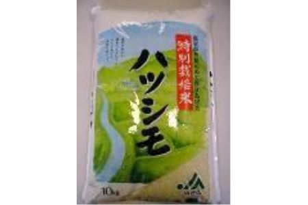【B29】特別栽培米 ハツシモ　10kg