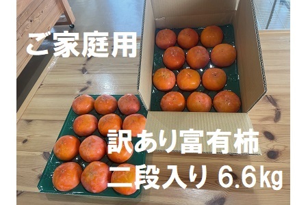 【先行受付】【 数量限定 】精華園 の 家庭用 訳あり 富有柿（18個～28個）約6.6kg  | M18S36